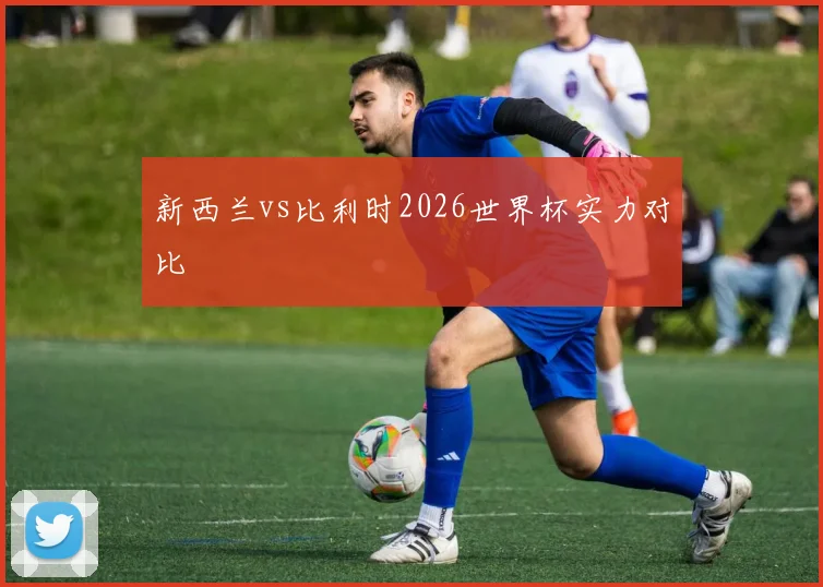 新西兰vs比利时2026世界杯实力对比