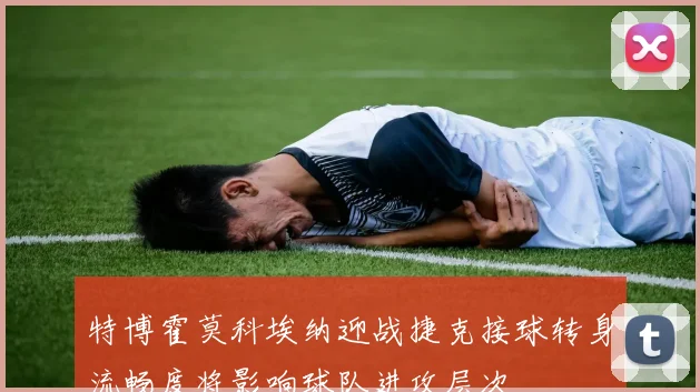 特博霍莫科埃纳迎战捷克接球转身流畅度将影响球队进攻层次