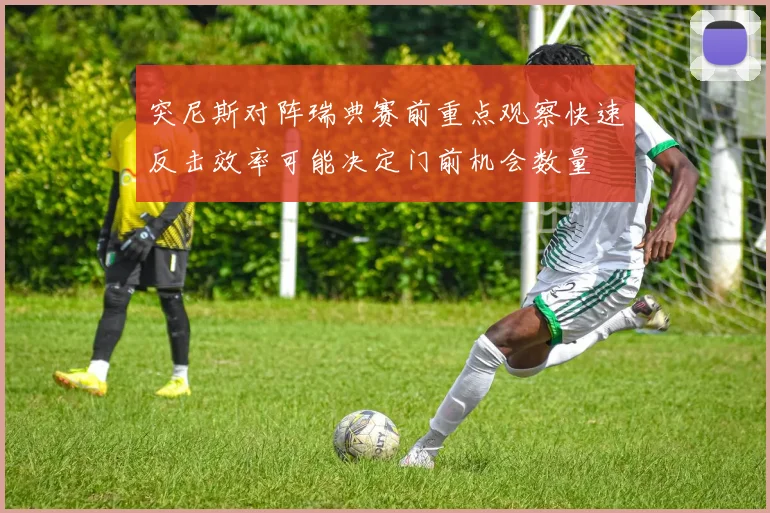 突尼斯对阵瑞典赛前重点观察快速反击效率可能决定门前机会数量